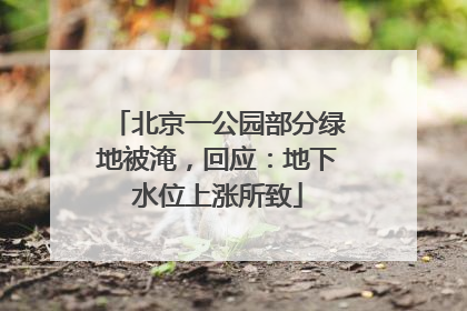 北京一公园部分绿地被淹，回应：地下水位上涨所致